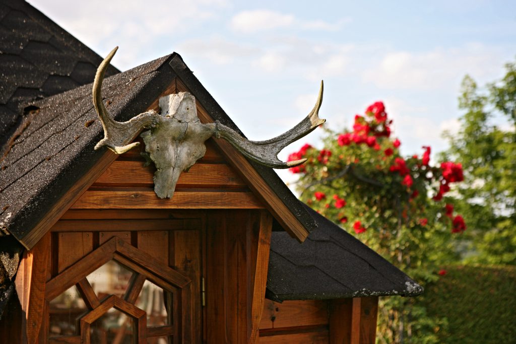 Ferienhaus_Rhoen_Garten