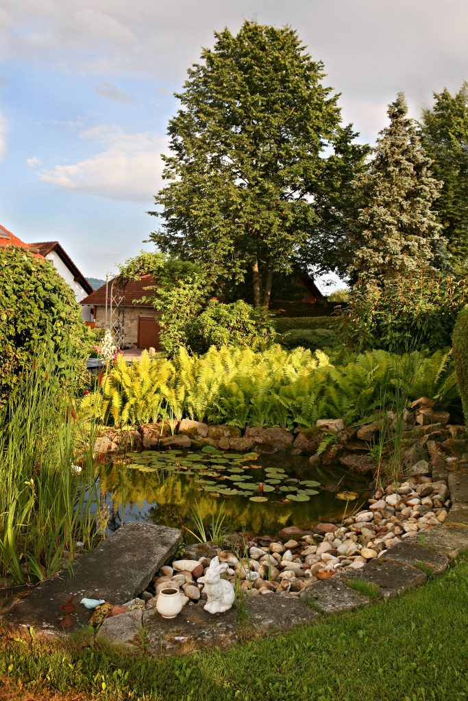 Ferienhaus_Rhoen_Garten