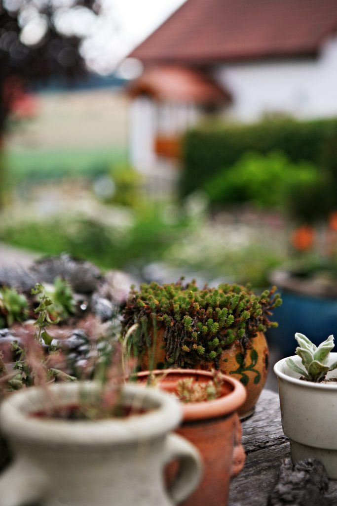 Ferienhaus_Rhoen_Garten
