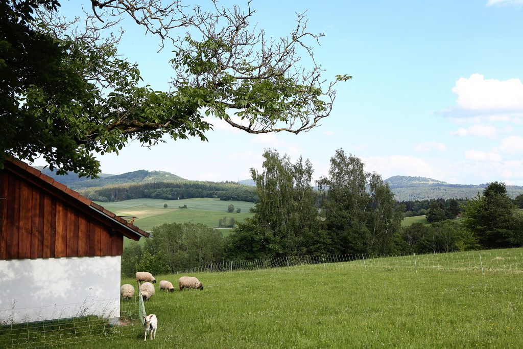 Ferienhaus_Rhoen_Garten