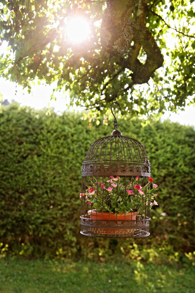 Ferienhaus_Rhoen_Garten